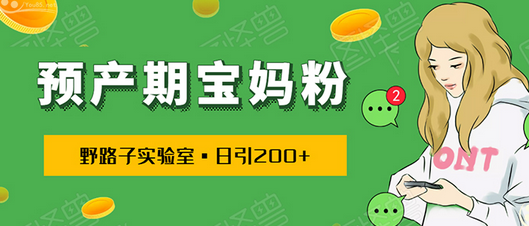 【副业2011期】引流预产期宝妈，从预产期到K12教育持续转化插图