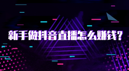 【副业2049期】抖音直播电商实战训练营-全套方法揭秘插图