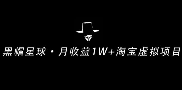 【副业2184期】月收益 1W+的正规淘宝虚拟资源项目-付费文章插图