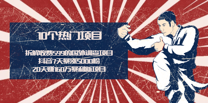 【副业2382期】拆解收费599的国外调查项目+抖音7天暴涨5000粉+20天赚160万暴利新项目插图