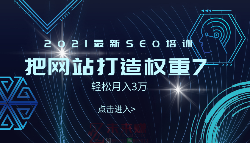 【副业2522期】2021最新SEO培训教程：手把手教你把网站打造权重7（视频教程）插图