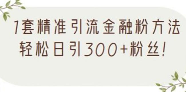 【副业2622期】金融粉引流推广方法，精准引流每日300+（视频教程）插图