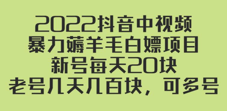 【副业2844期】2022抖音中视频项目：暴力薅羊毛，新号每天20，老号每天几百插图