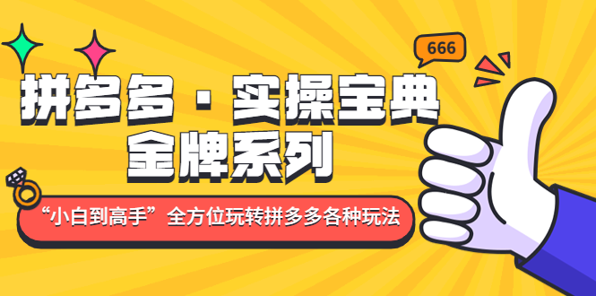 【副业4311期】拼多多怎么开店：小白到高手，拼多多·实操宝典，玩转拼多多各种玩法