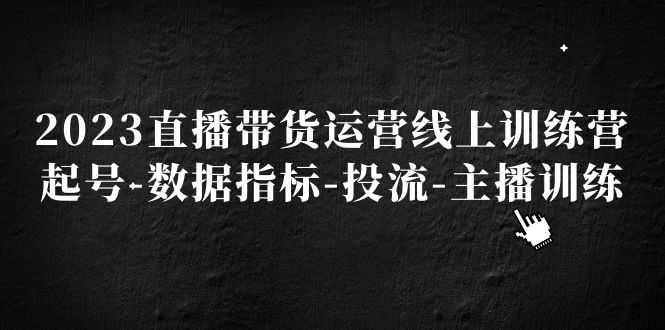 【第4455期】抖音直播带货怎么弄：2023直播带货线上训练营，抖音起号-数据指标-投流-主播训练