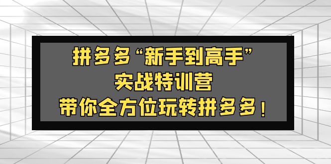 拼多多运营教程：拼多多“新手到高手”实战，带你全方位玩转拼多多