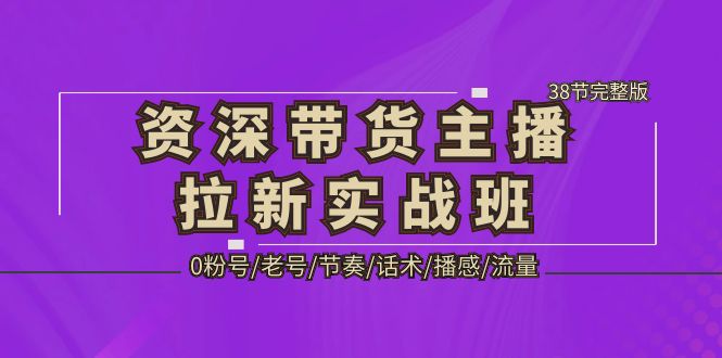 【第4498期】资深带货主播起号思路实战：0粉号/老号/节奏/话术/播感/流量-38节完整版