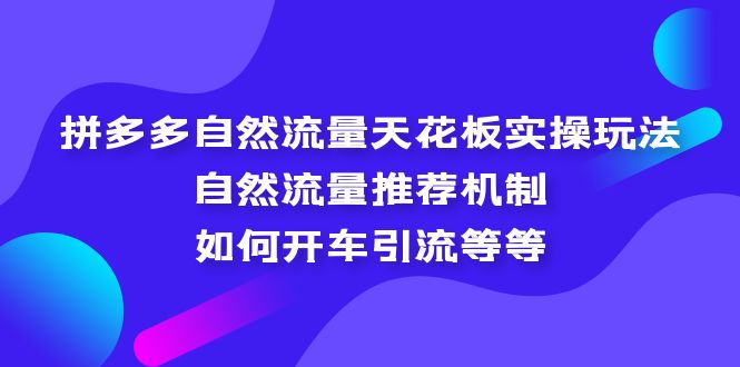 【第4603期】拼多多流量怎么做起来：拼多多自然流量天花板实操玩法教程