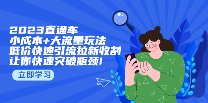 【第4693期】淘宝直通车的投放技巧：2023直通小成本+大流量玩法，低价快速引流