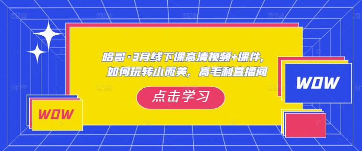 抖音怎么赚钱：哈哥·3月线下实操全套教程，如何玩转小而美，高毛利直播间