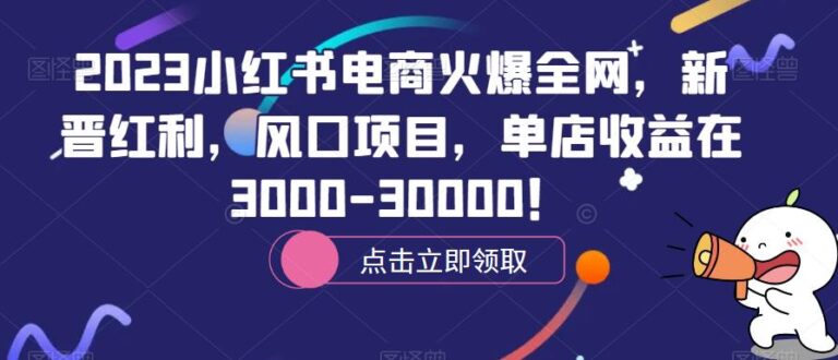 小红书电商怎么做：2023小红书电商新晋风口项目，单店收益在3000-30000！