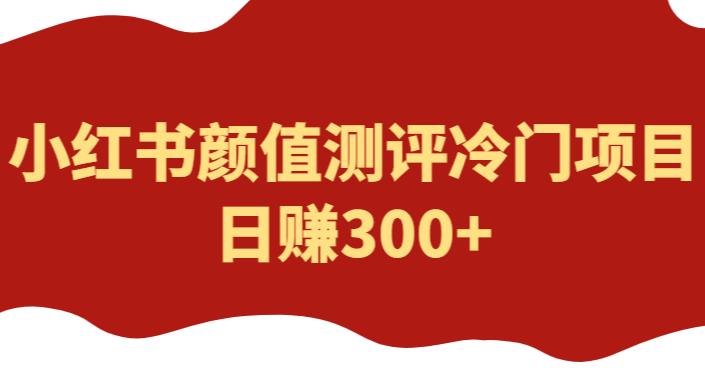 怎样在小红书赚钱：外面1980的项目，小红书颜值测评冷门项目，日赚300+