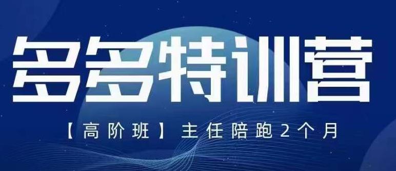 【第5128期】拼多多怎么开店：5月最新拼多多玩法落地实操特训营高阶班全套教程