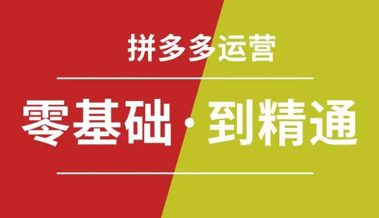 【第5176期】拼多多运营怎么做：拼多多运营必听14节课，拒绝口嗨，全后台实操演示教程