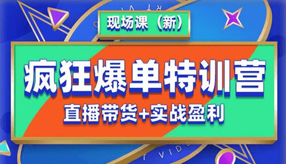 【第5237期】怎么在抖音上卖货：抖音短视频疯狂爆单特训营现场课（新）直播带货+实战案例