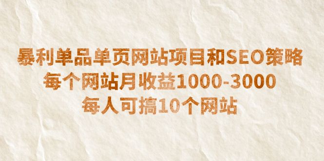 单页网站怎么做：暴利单品单页网站项目和SEO策略，单站月收益1000-3000可批量