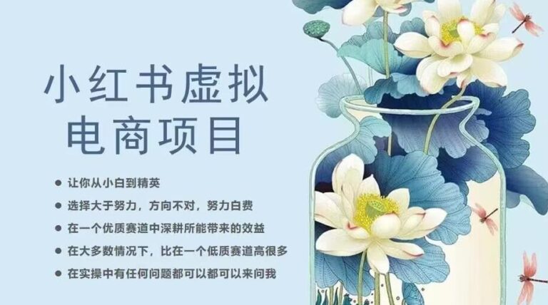 小红书虚拟电商项目：从小白到精英，从0到1小红书虚拟电商20节实操课