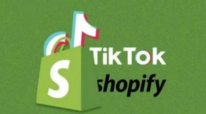 【第6778期】TikTok全案短视频+独立站，包括：建立域名、产品上架